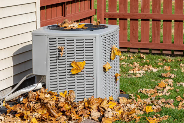 Best HVAC cleaning services  in Horseshoe Bend, AR
